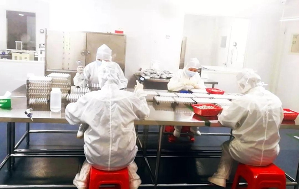 多宝电竞·DB(中国集团)官方网站