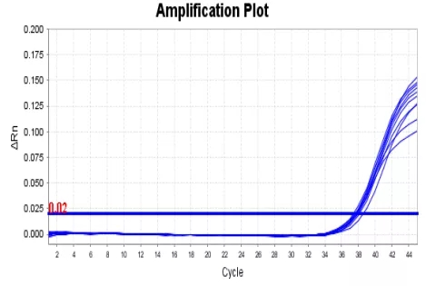 多宝电竞·DB(中国集团)官方网站