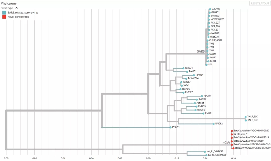 多宝电竞·DB(中国集团)官方网站