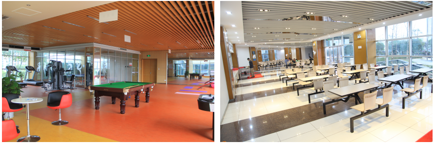 多宝电竞·DB(中国集团)官方网站