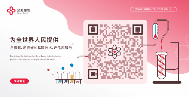 多宝电竞·DB(中国集团)官方网站