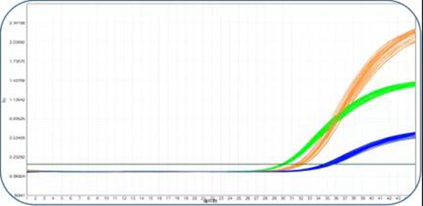 多宝电竞·DB(中国集团)官方网站