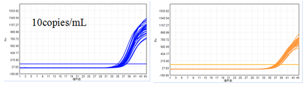 多宝电竞·DB(中国集团)官方网站