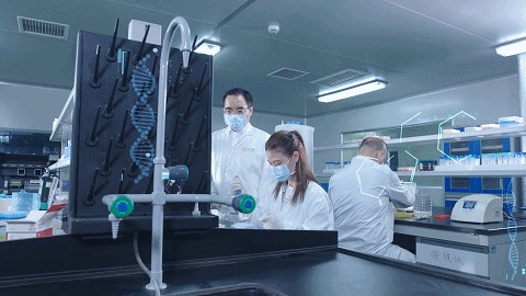 多宝电竞·DB(中国集团)官方网站