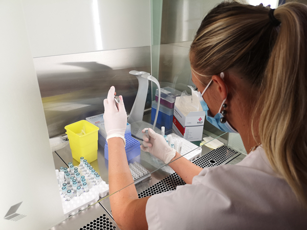 多宝电竞·DB(中国集团)官方网站