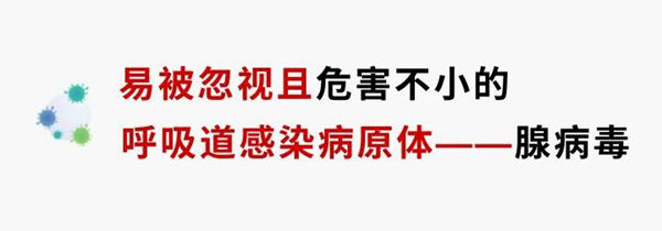 多宝电竞·DB(中国集团)官方网站